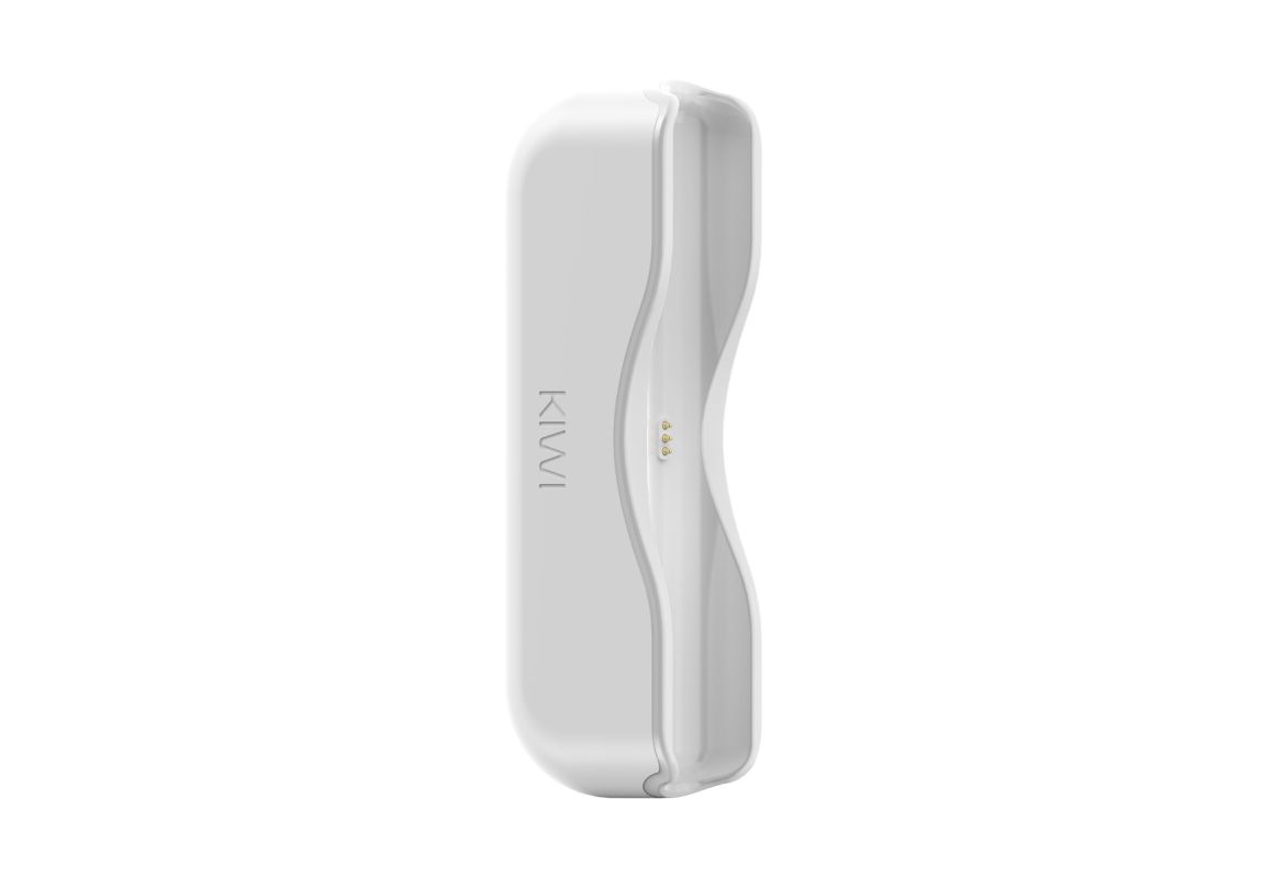 Kiwi Powerbank singolo