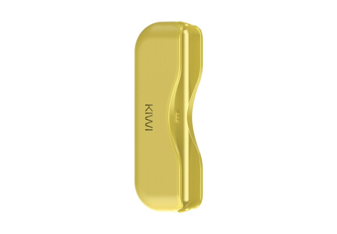 Kiwi Powerbank singolo