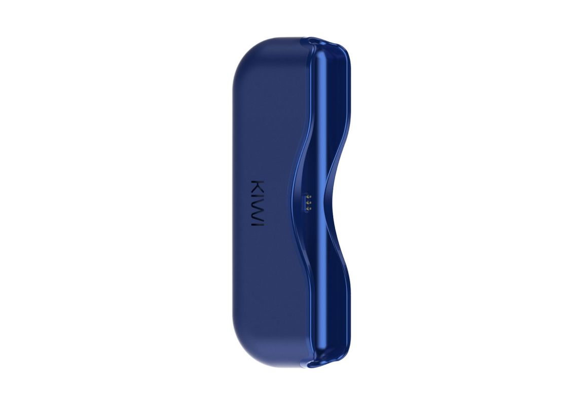 Kiwi Powerbank singolo