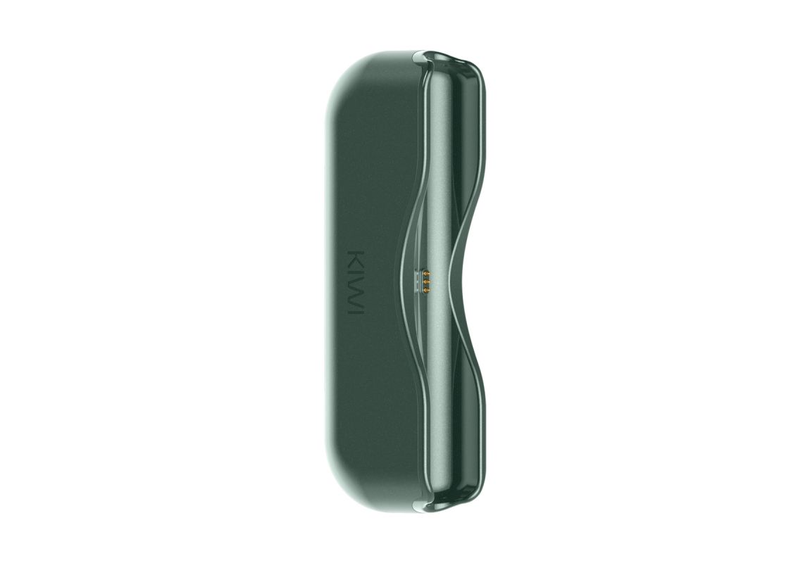 Kiwi Powerbank singolo