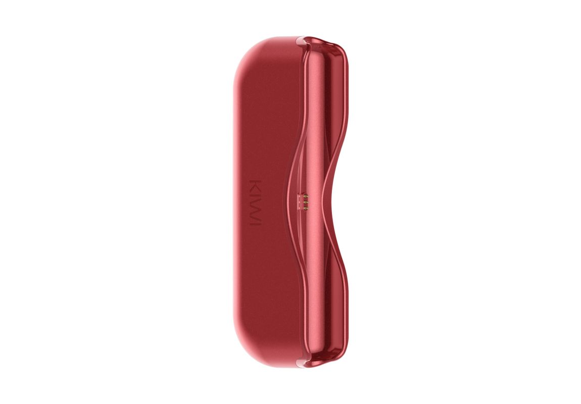 Kiwi Powerbank singolo